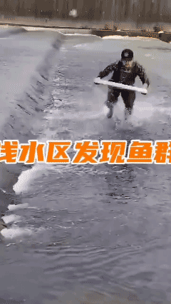 捕鱼的视频为啥流量总是挺高的？🤔