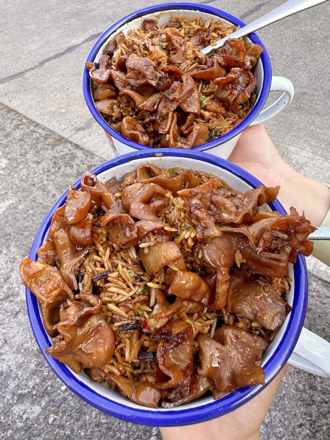 为了这一碗肥肠炒饭我还可以来益阳10000次！