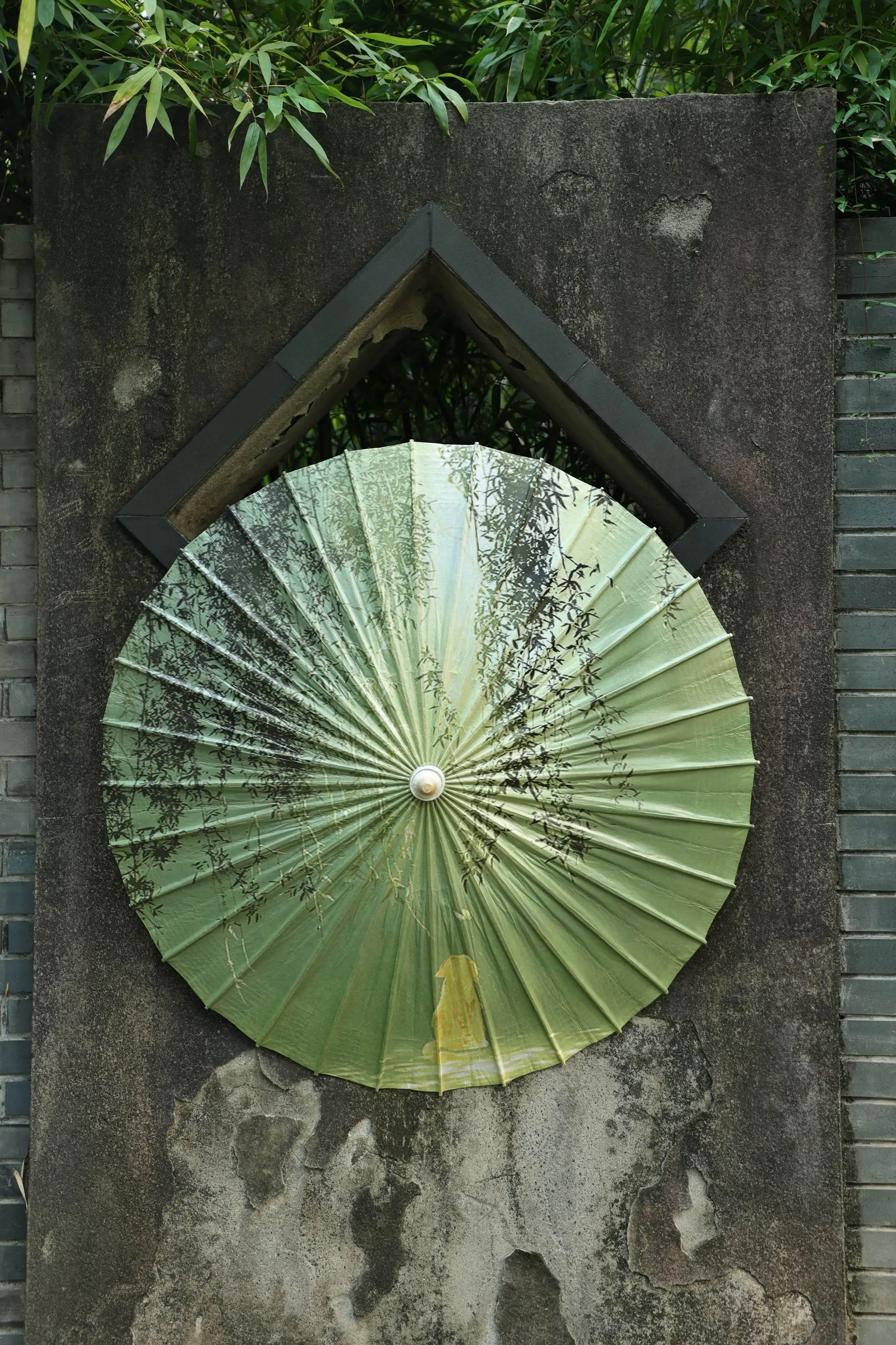 【繁花系列】望柳·油纸伞。在江南的朦胧烟雨中，撑开一把望柳油纸伞，宛如...