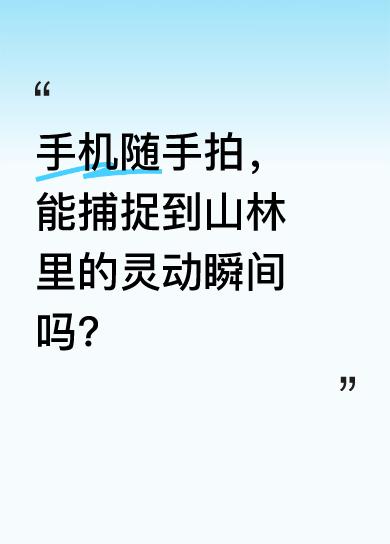 我是户外爱好者，昨夜山雨刚过，今天立夏。清晨山林还挂着水珠，我偶遇了这些被雨水洗