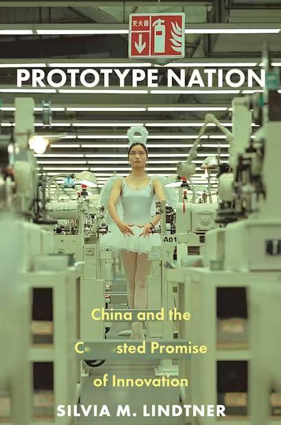 在 《Prototype Nation》 中，Lindtner 多次写到她陪同欧