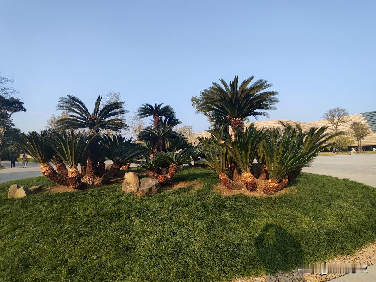 任何一个怪异现象的出现，绝对是无数次血淋淋的教训逼出来！三十年老教师立字为证！[