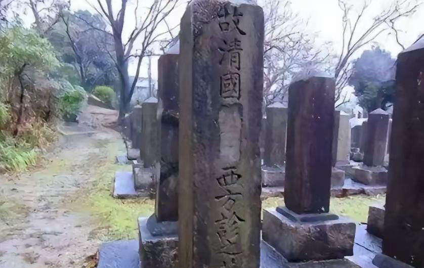 2003年，在日本留学的中国女学生杨海嘉，无意间路过日本"真田山陆军"的墓园时，