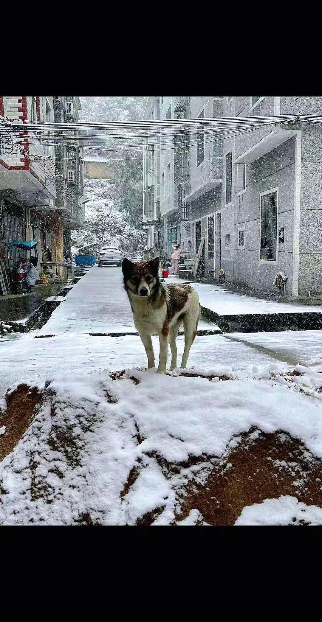 一去不复返。不是才下了雪吗？怎么这么快就要到6月了人对时间毫无还手之力 时间过得