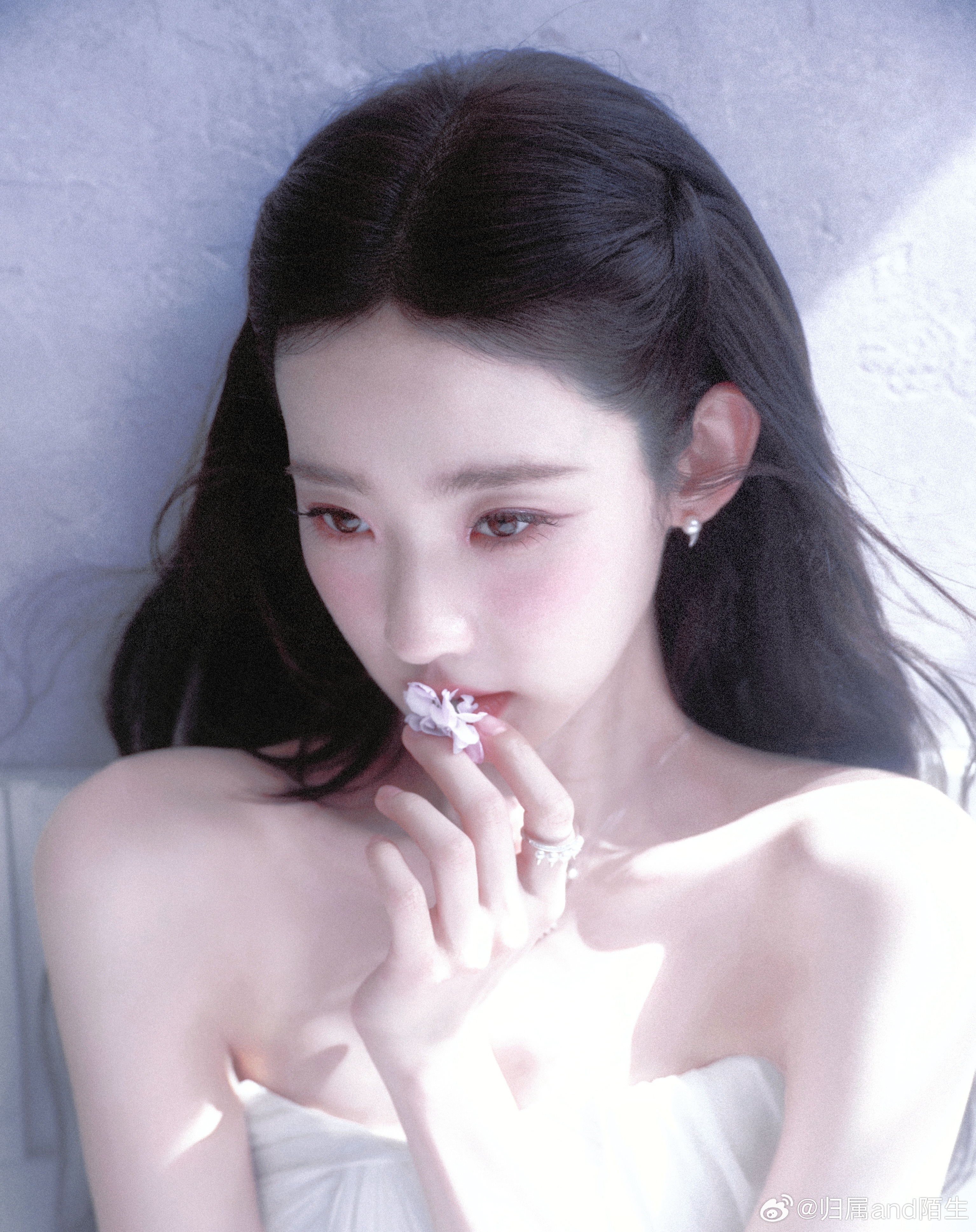 眼底泛起紫罗兰的薄雾张艺凡 ​​​