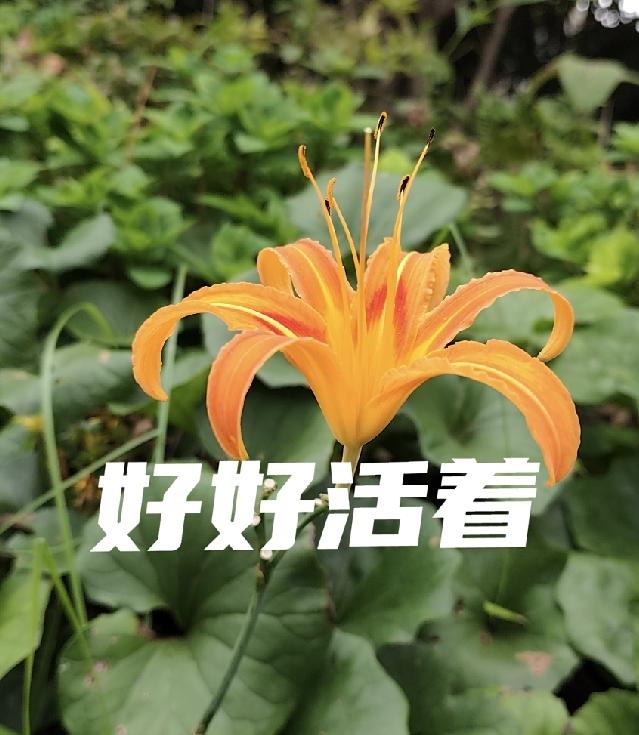 周国平老师: 
我们看见一个人或遇见一件事，一开始都会有一个直觉的，你要相信这个
