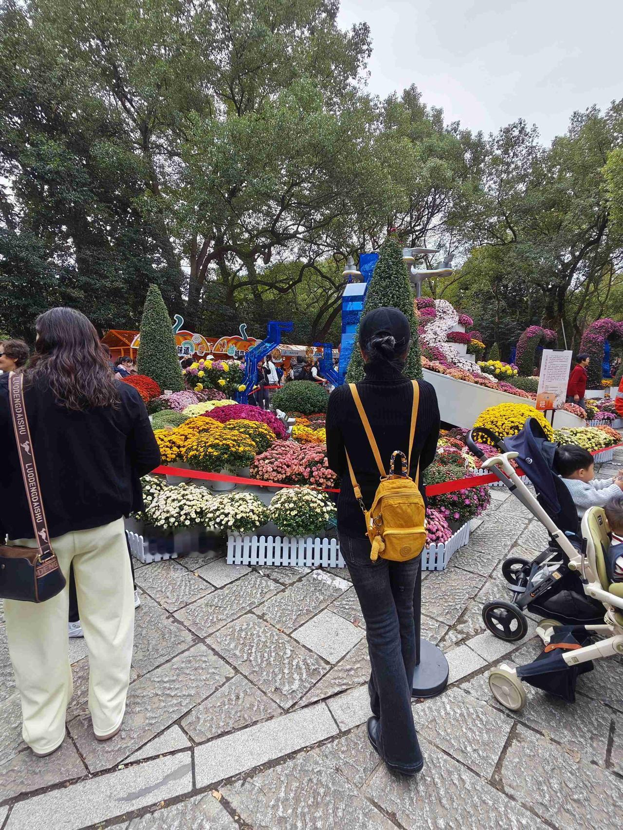 我的今日状态：😁轻松愉快
我这里的天气：☁️阴天

每年看菊花展已经成了杭州人