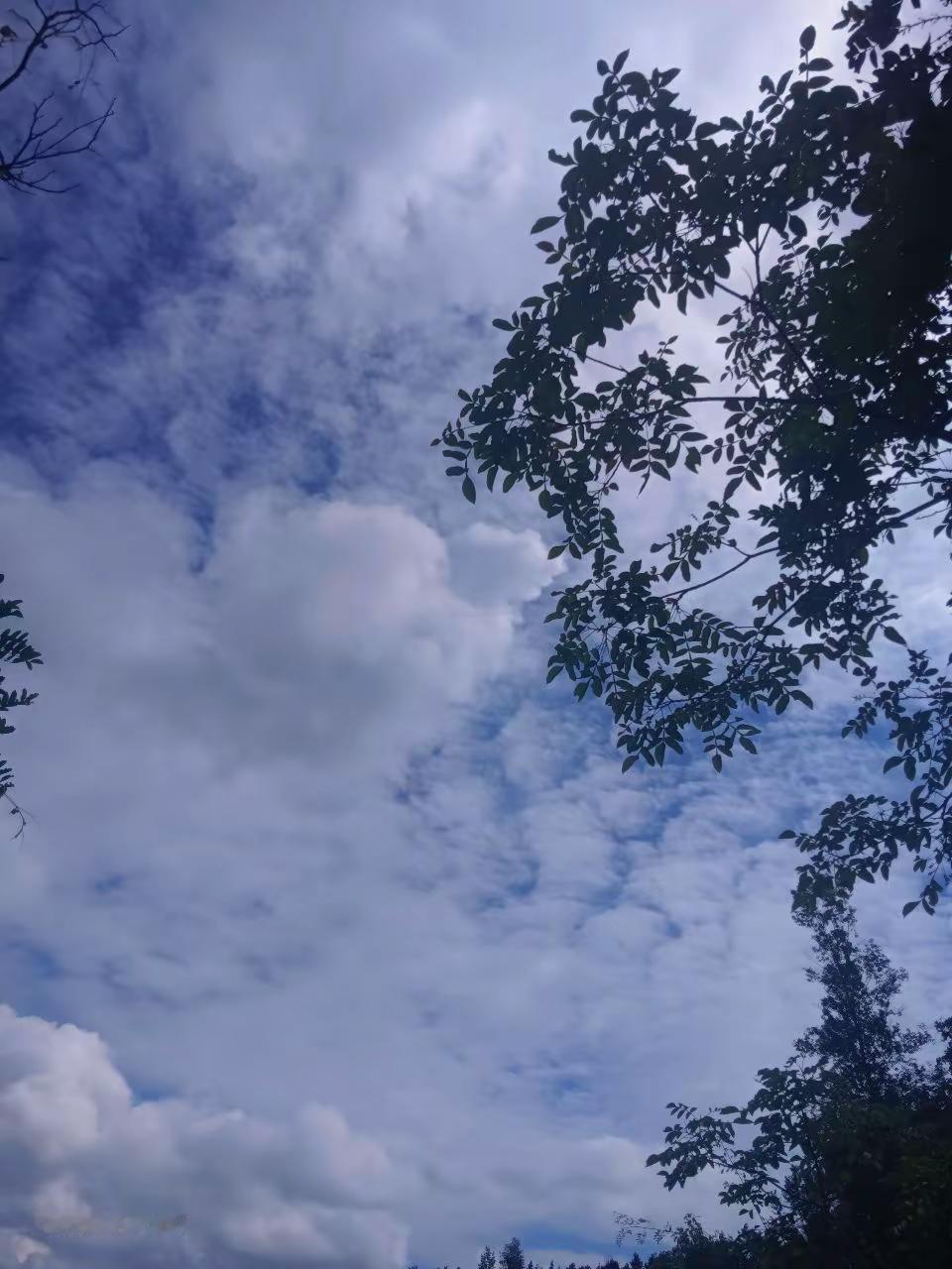 天空你是否知晓一切
