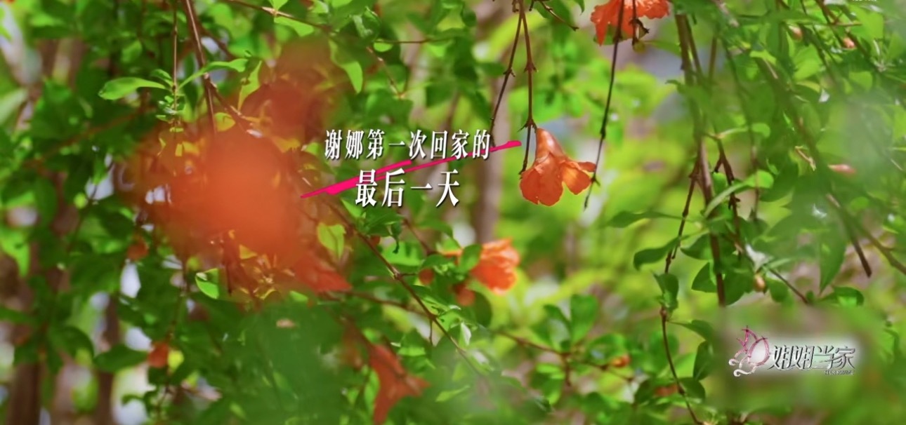 谢娜世界上最好吃的面谢娜：每次离开家之前，一碗细挂面，就是我最爱的味道。我宣布，