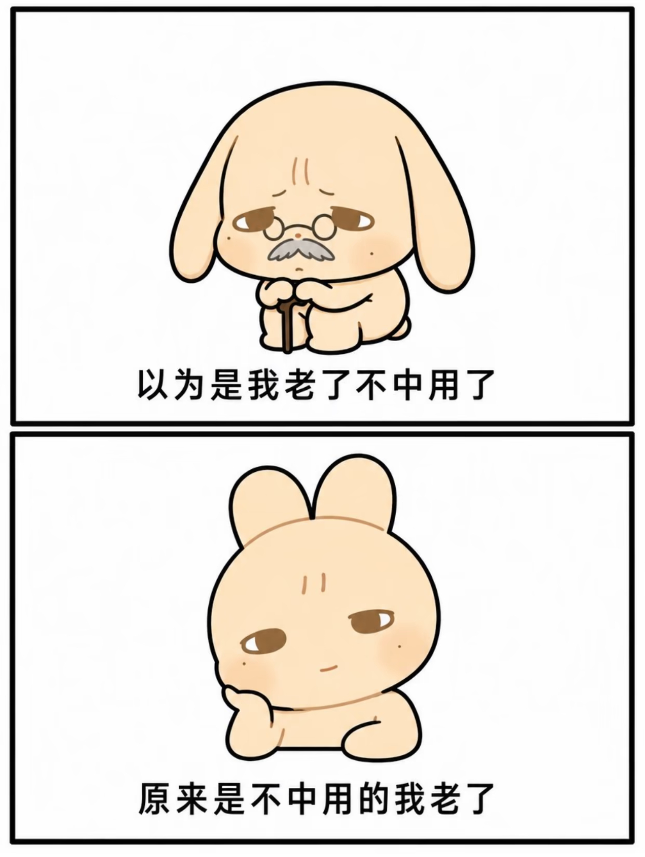 此兔太萌了！苏新皓