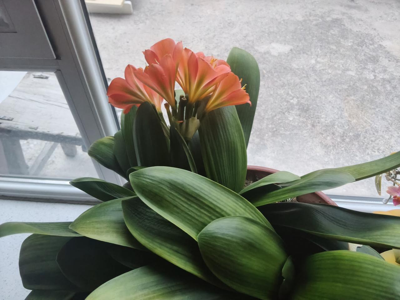 有福之人人人恨，无福之人恨人人


我有个发小，他大学毕业后去南方发展，赶上了时