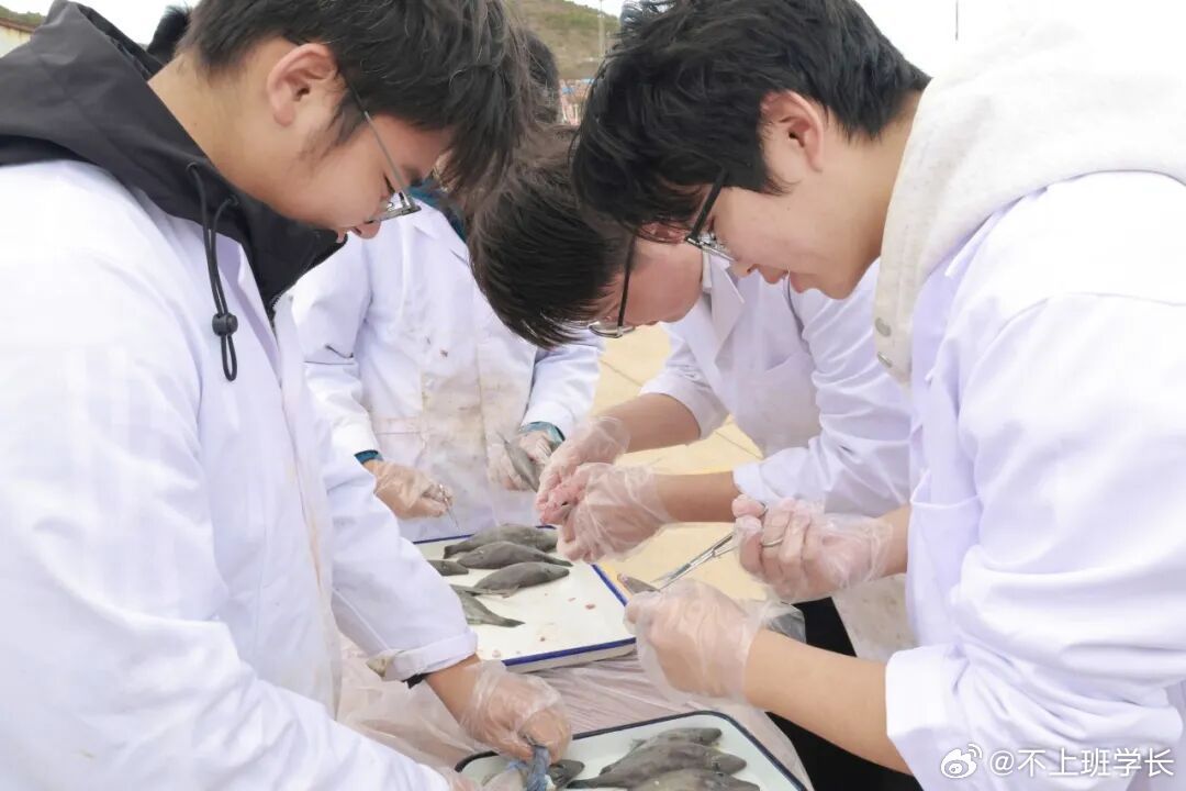 烟台大学这堂课海味十足 烟台人餐桌上熟悉的扒皮狼鱼，背后藏着烟大海洋学院十年科研