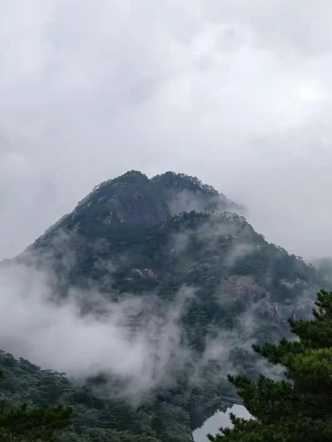 晒图笔记大赛 
瞧这照片里，奇松破石而出，枝干遒劲，像是在向世人展示它顽强的生命