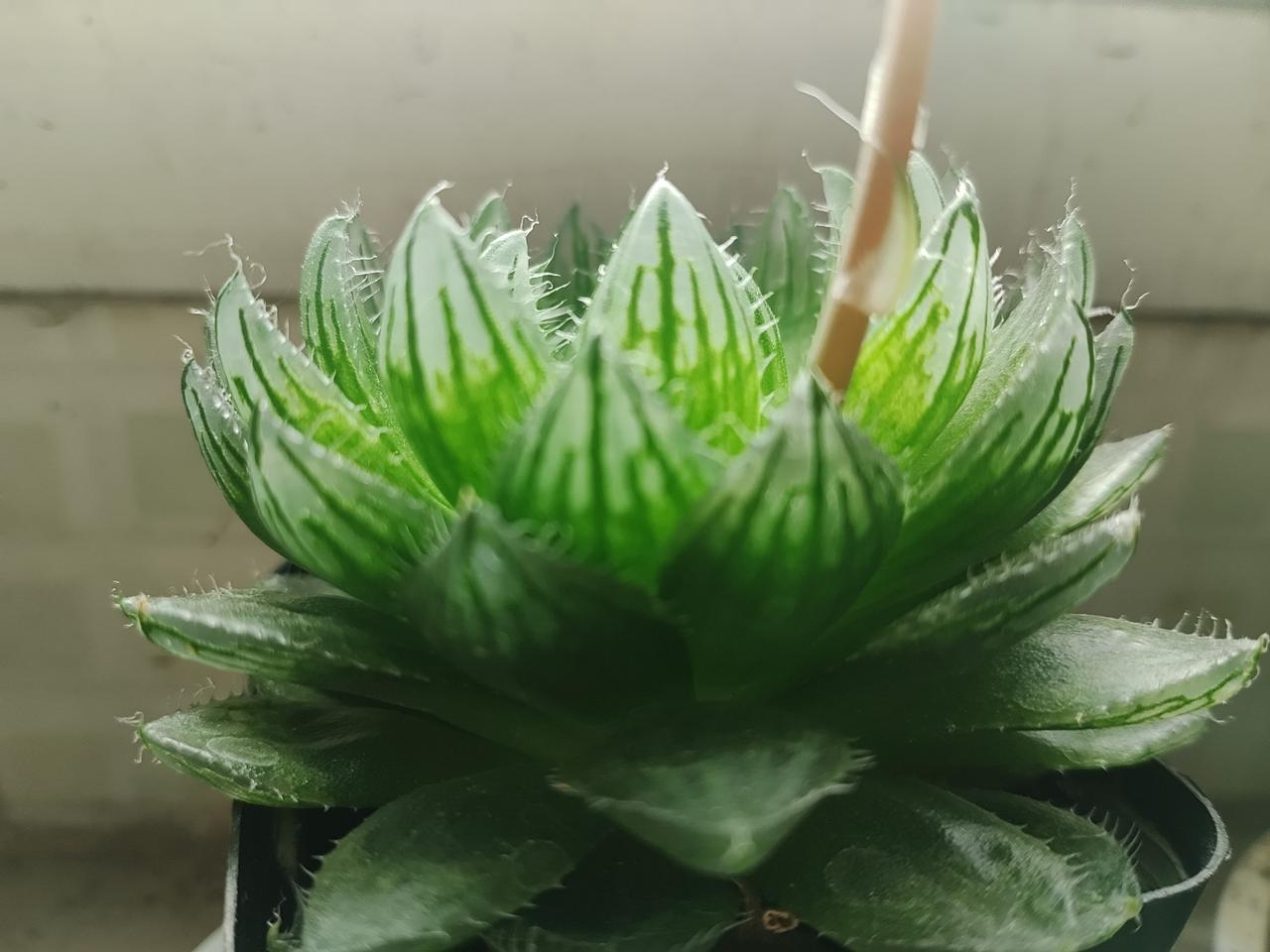 人已失业，有人来张口借钱创业，我果断拒绝！如今谁还敢大方仗义？
 
人在低谷，最