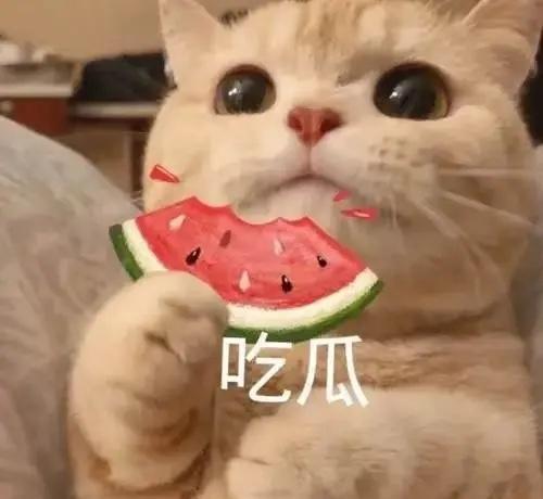 1.太阳女神看到网上diss她的那些言论了，她很生气，跟某个主持人大哭一场。2.