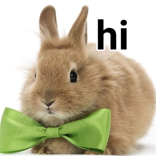 兔兔表情包一组☝️🐰 ​  ​​​
