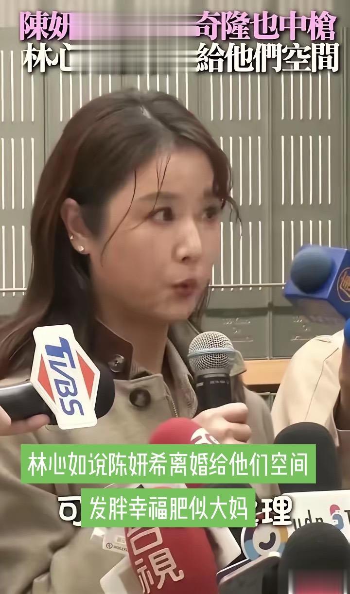 林心如幸福肥似大妈说陈妍希离婚给他们空间。林心如说陈妍希离婚给他们空间...