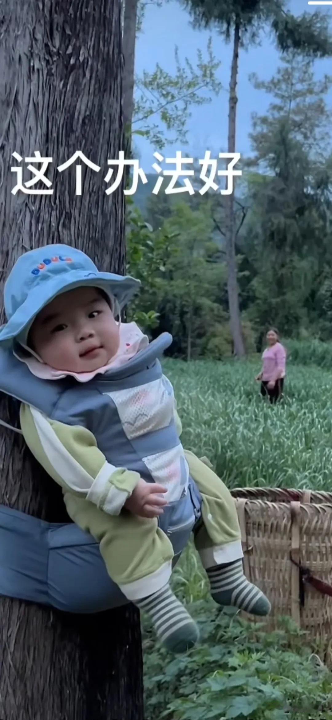这个娃娃也太可爱了，妈妈在地里干活，把他绑在一棵大树上，他不但不哭，反而露出笑容