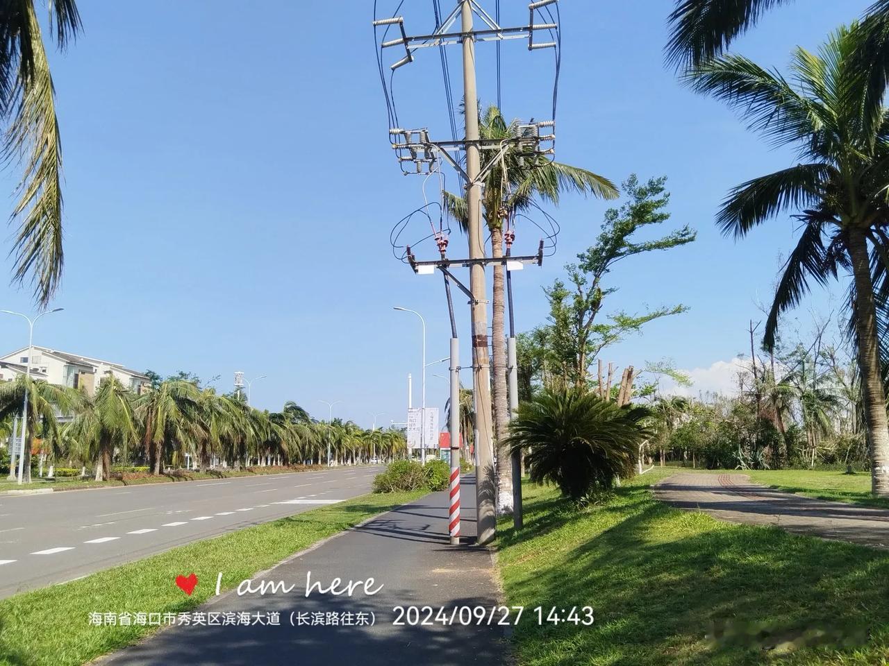 城市艺术，欢迎撞树。
​滨海大道骑行随拍，长滨一路至丘海大道，进入龙华区。滨贸路