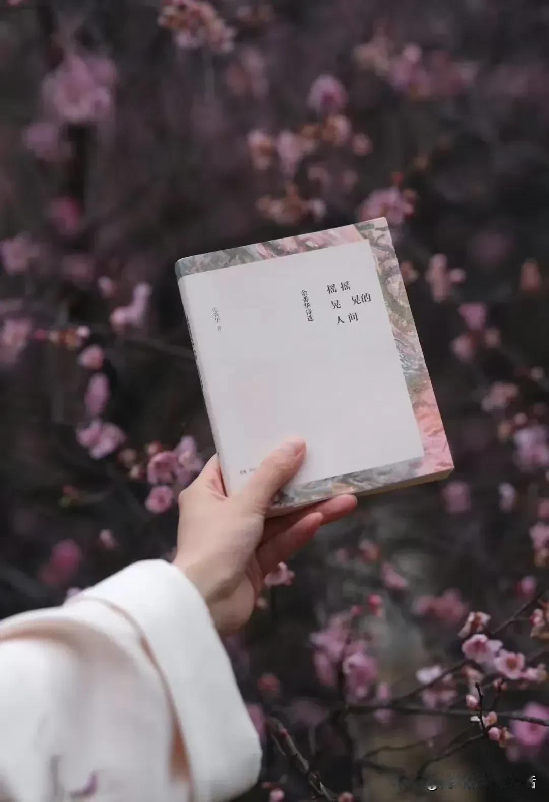旧物是好物…..

所有旧
都曾是新
旧日所爱
今日回头
仍像一场新欢

旧时光