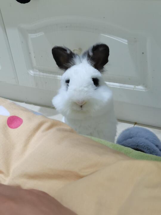 现在每天都会被小宝吵醒