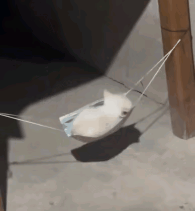 我家的小猫崽总想让人抱着睡觉，而且还要摇晃才能睡的着。六岁的女儿突发奇想，用一个