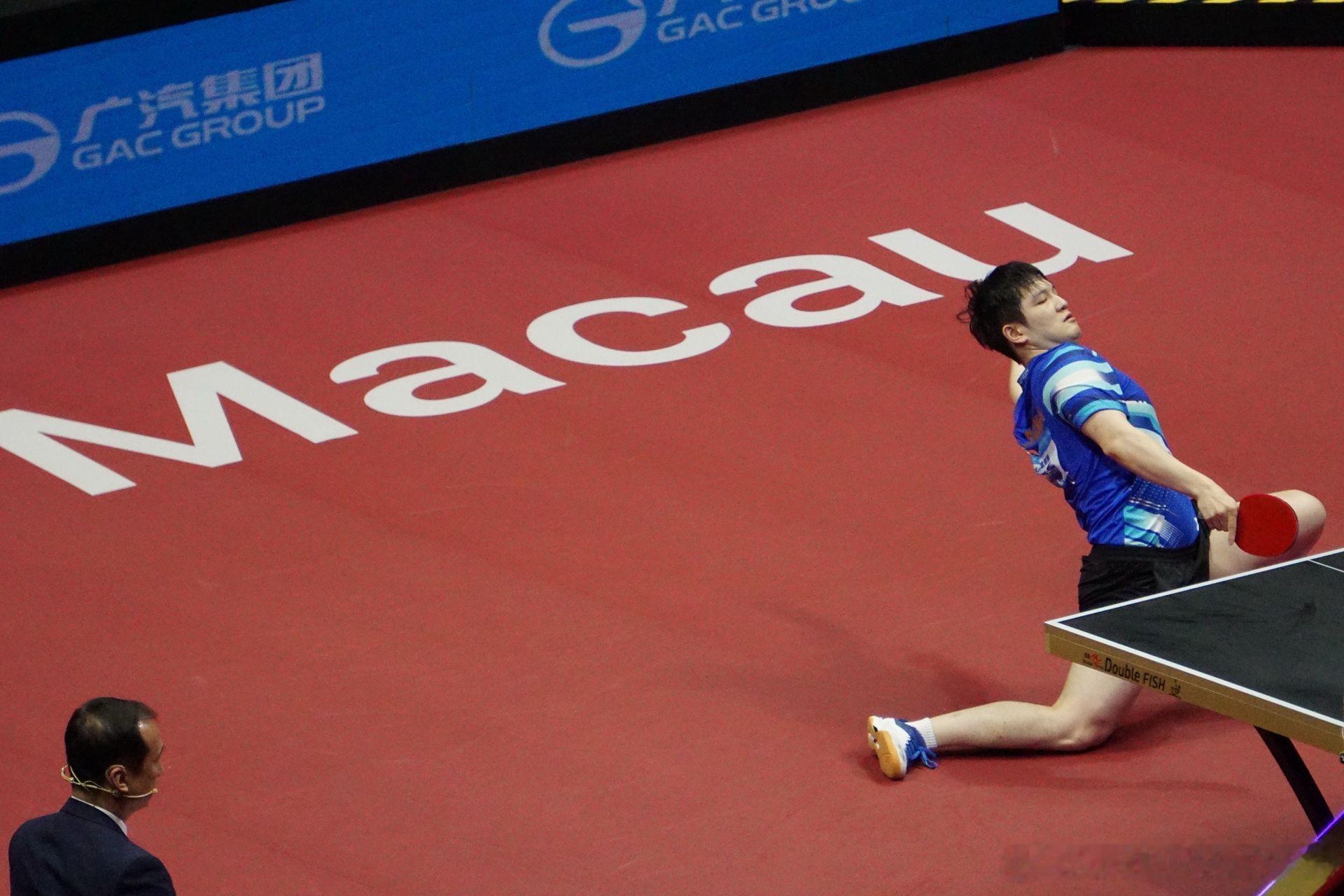 樊振东的身体极限令人震惊！核心太稳，一般人这个姿势早就去医院了吧Lavender