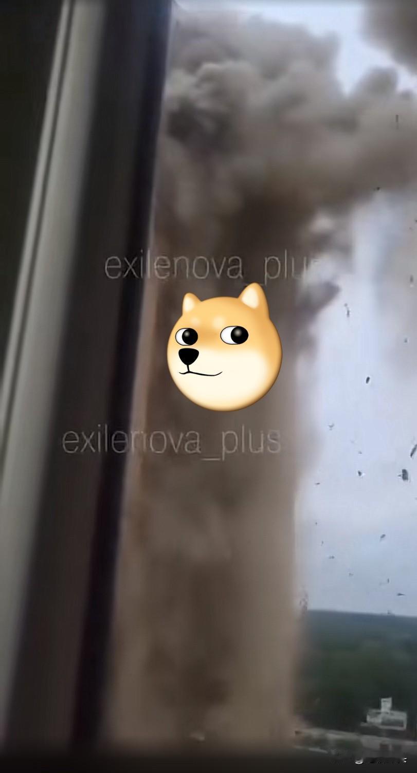天灵盖都给掀了！大毛防不胜防，二毛屡试不爽，接下来该轮到掀二毛的天灵盖了。