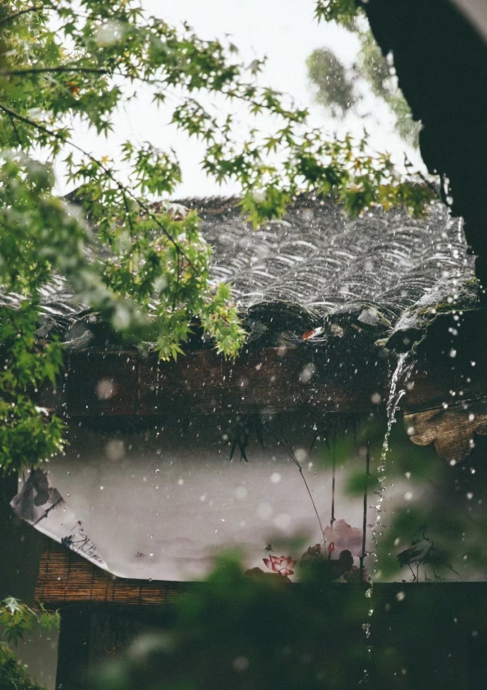 八月热就算了，九月求老天爷给我们四川和重庆下点雨吧[淡淡的] ​​​