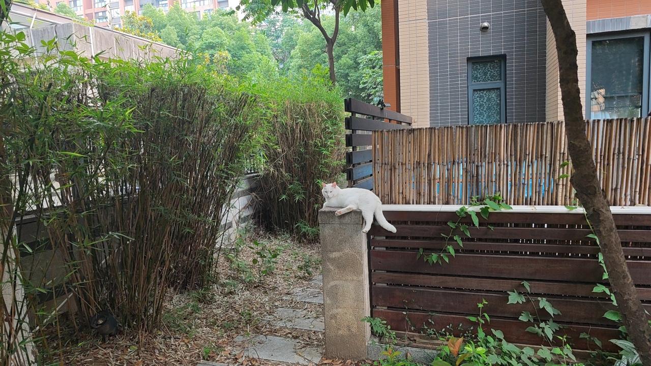 因为考上得少，知识确实能改变命运，因为社会上升路径太窄，上大学是草根阶层唯一逆天