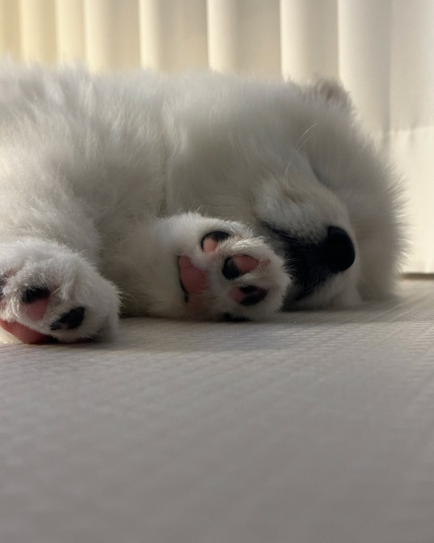 晚安耶 ​​​
