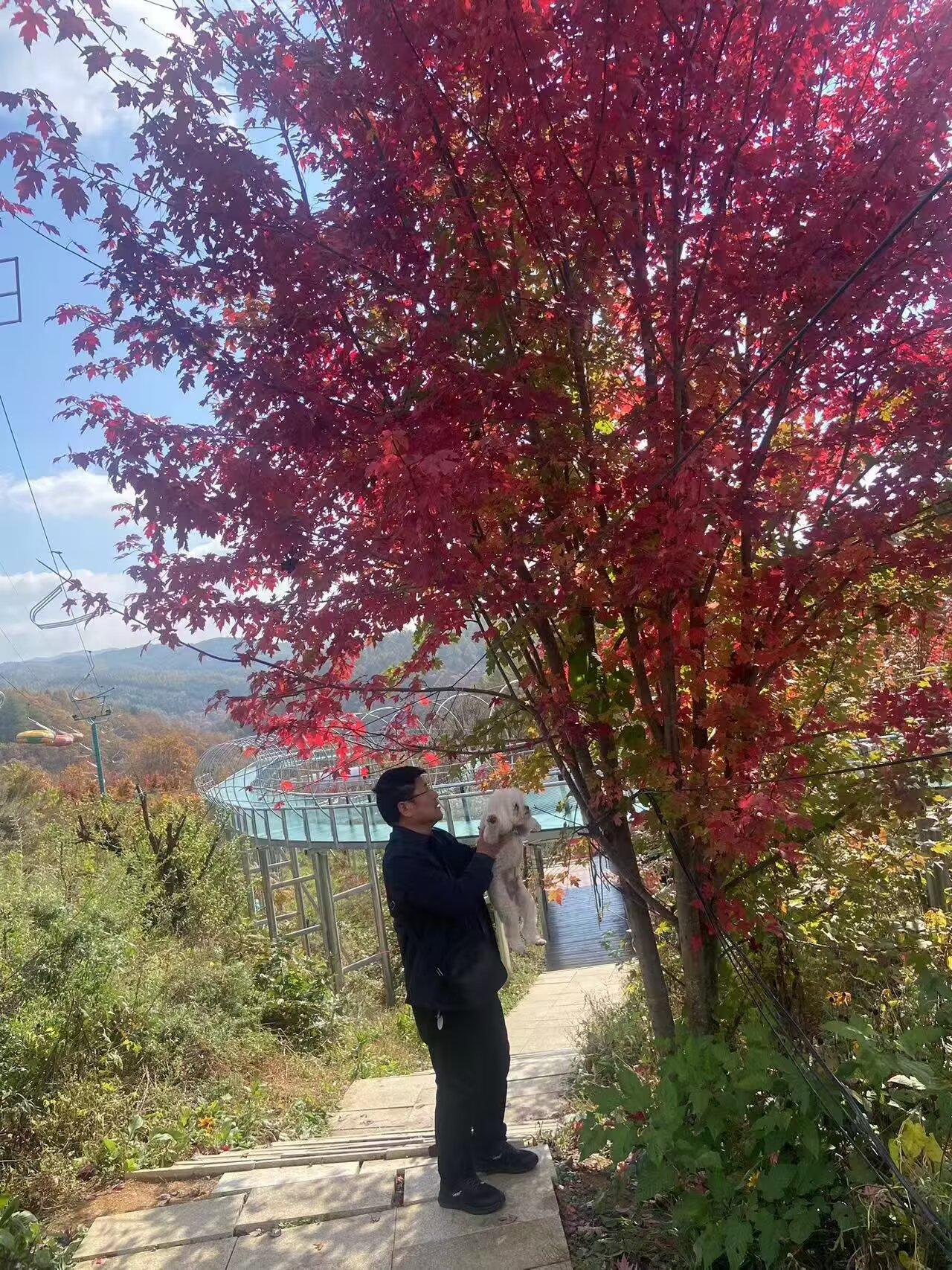 今天下午在学校校园溜达，发现地上有个红色东西，看上去像一百元钱。于是我走到跟前，