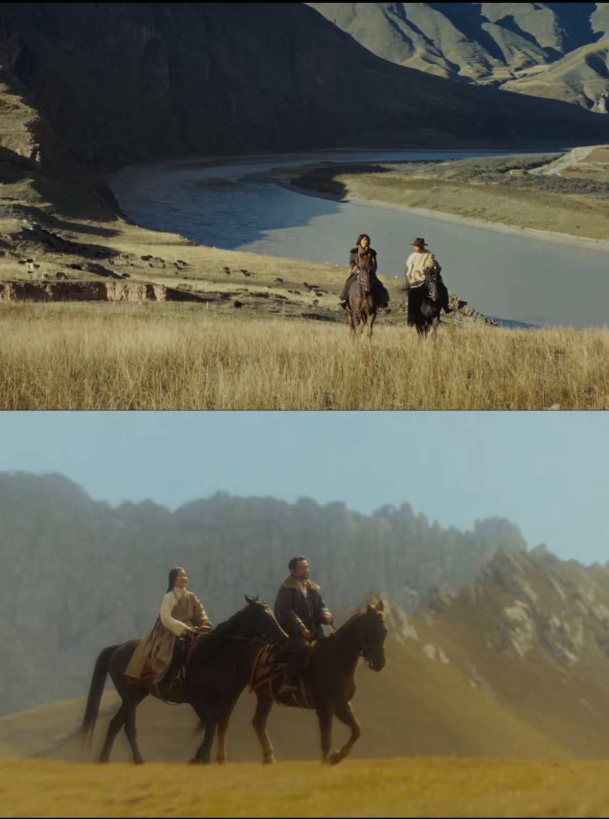 生命树口碑发酵这个杨紫胡歌明明年龄差距不大，但演出了父女感！！！生命树