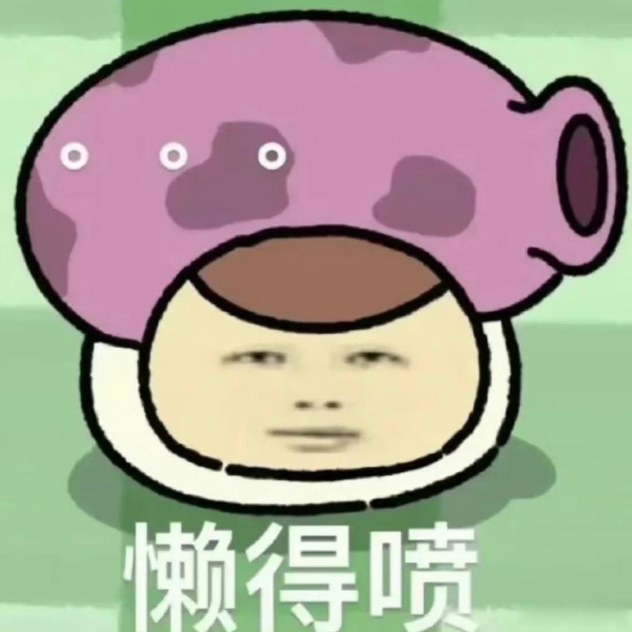 歌手排名今天放了多少粉丝进去😛 
