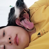 翠晓热说娱乐