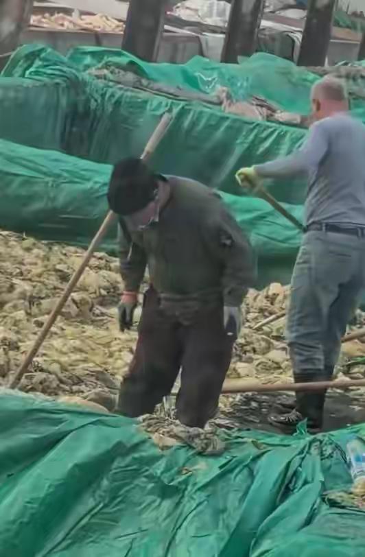 很不卫生，这个男子的行为影响很坏，对他的处罚，完全正确，
       这段时间