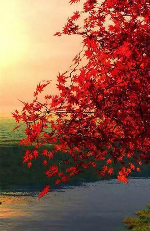 生命就只有一件唯一的实事：通过行动，不断地用新的生命感受去更迭旧的生命感受。把这