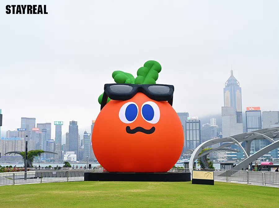 人生中所有荒谬无比的决定都是经过深思熟虑想出来的机机灵灵上了很多当掏心掏肺得罪很