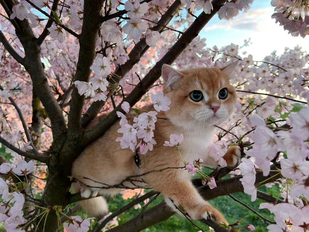 性格里横槊赋诗的草莽气质，总让我对最亲近的人杀伐征讨。丨简嫃《四月裂帛》 ​​​