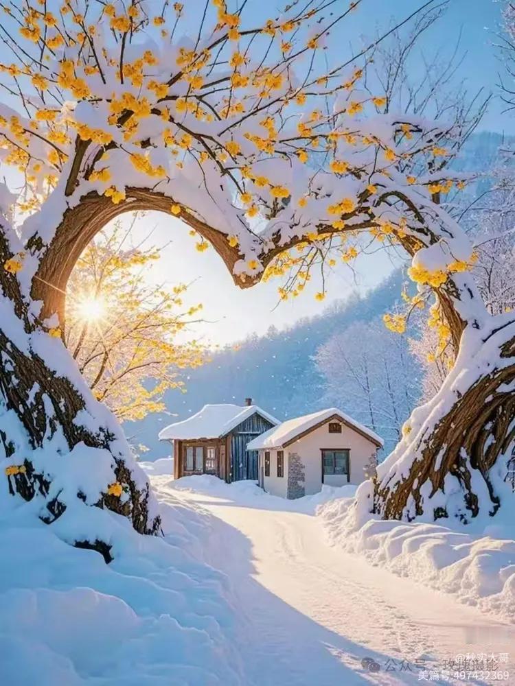 冬天怎么吃才暖又不负担?
冬天，天寒地冻，谁不想在寒风中找到一份温暖？但问题来了