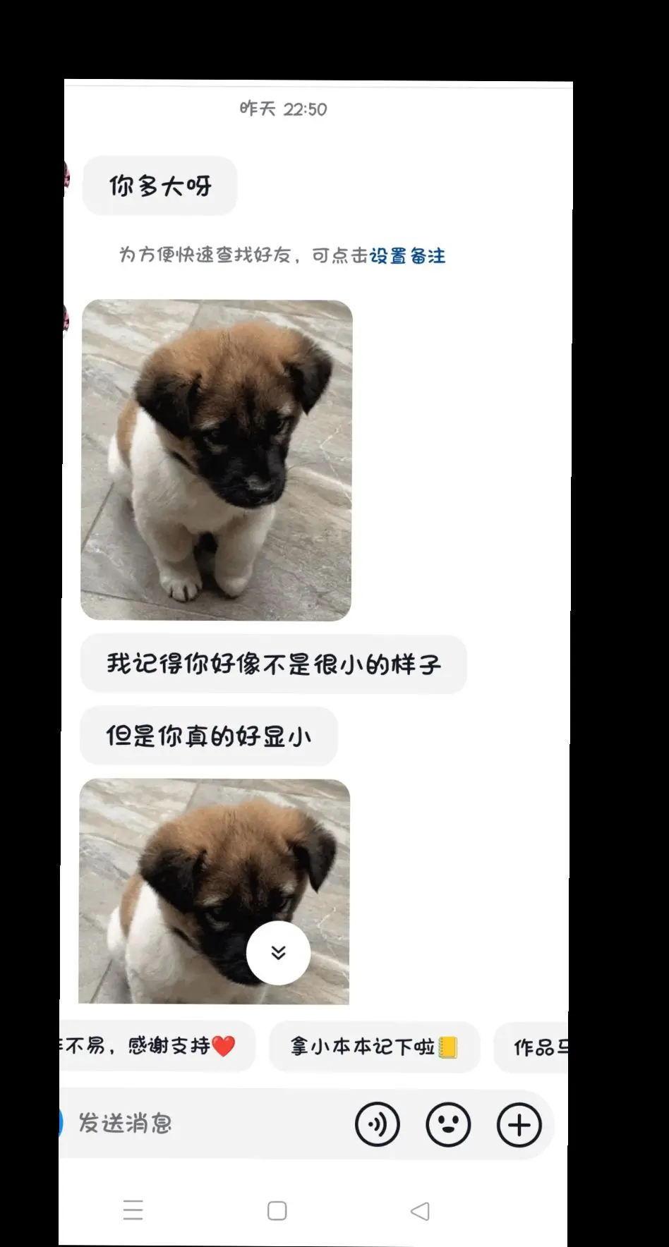 天天被问多大了
