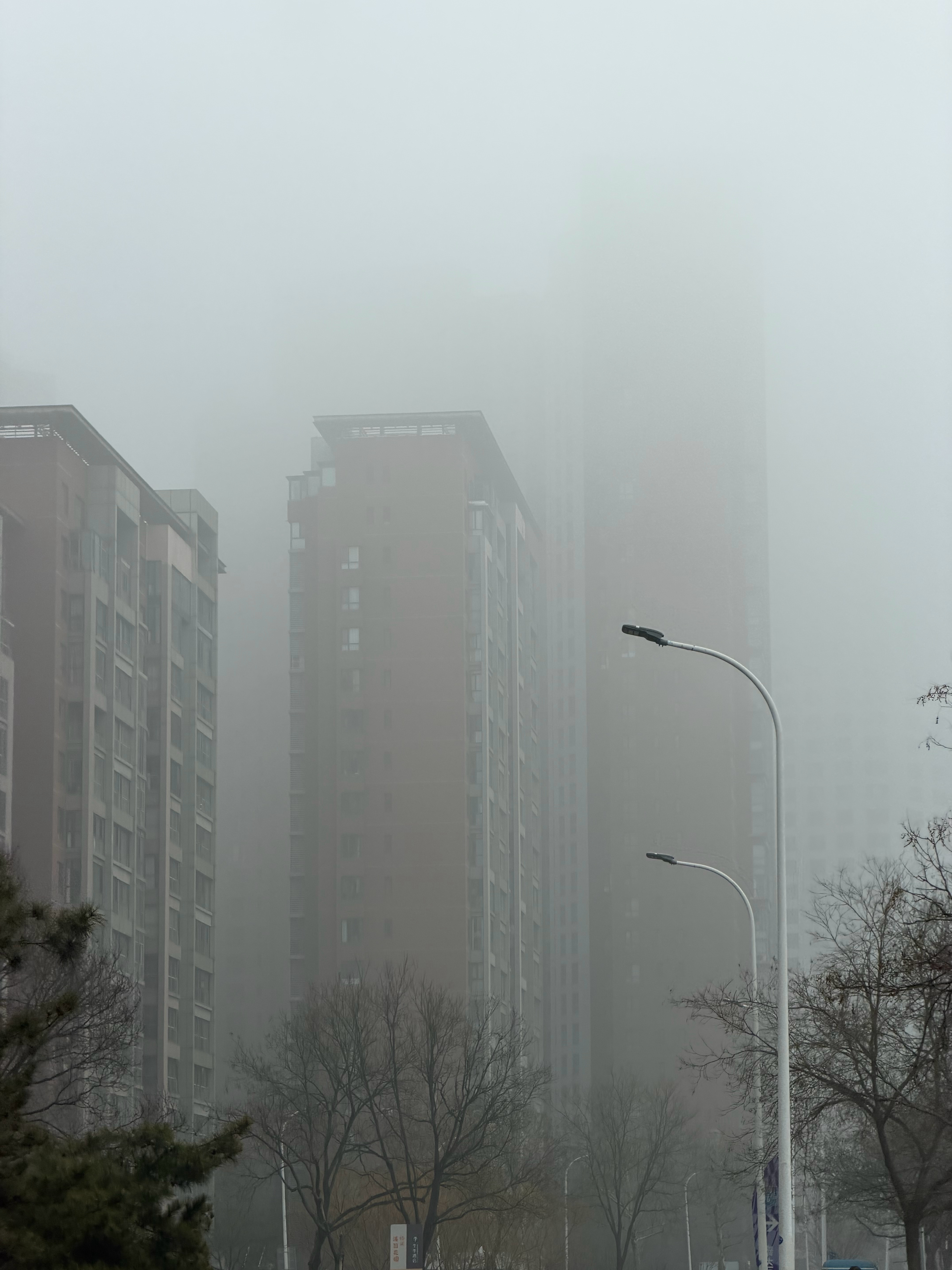 大雾🌫️早上五六点时候，雾更大 天津