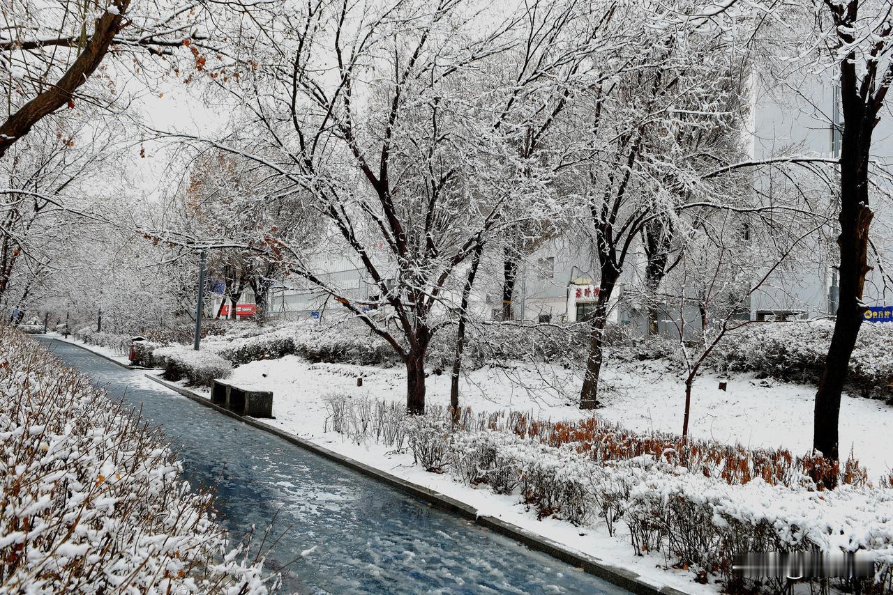 南湖公园四季掠影（五）
冬季景色：