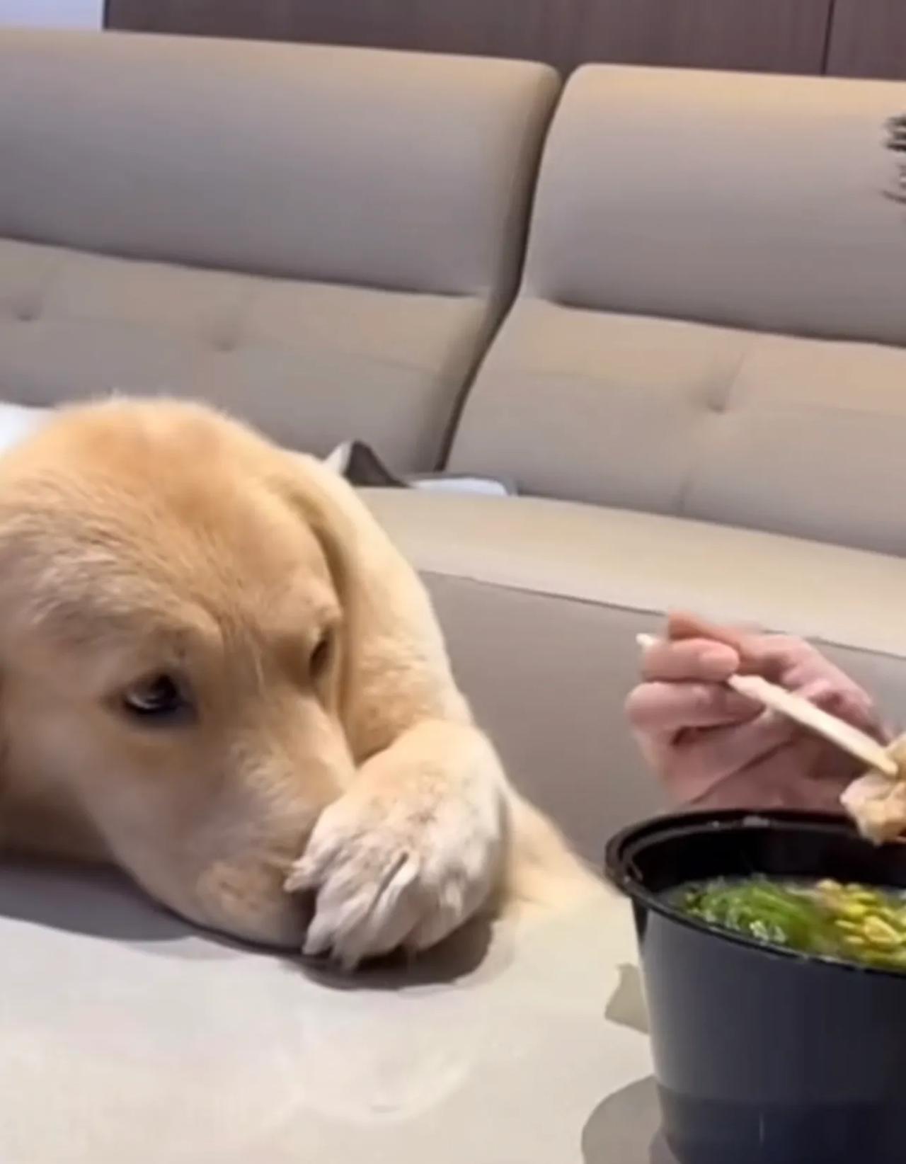 没眼看[比心]