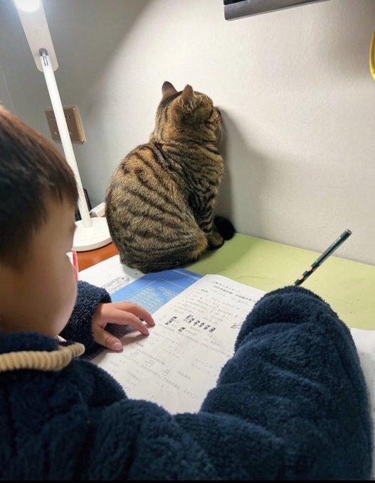 民间四大：
四大傻：
1、替人担保。
2、替人出头。
3、替人养娃。
4、替人还