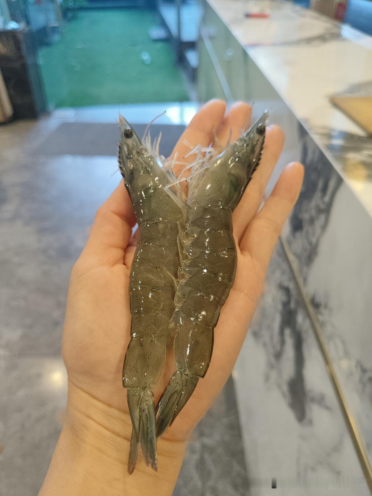 我认为现代，

古代人的生活虽然是简单惬意，没有太多名与利的争斗……

但是我还