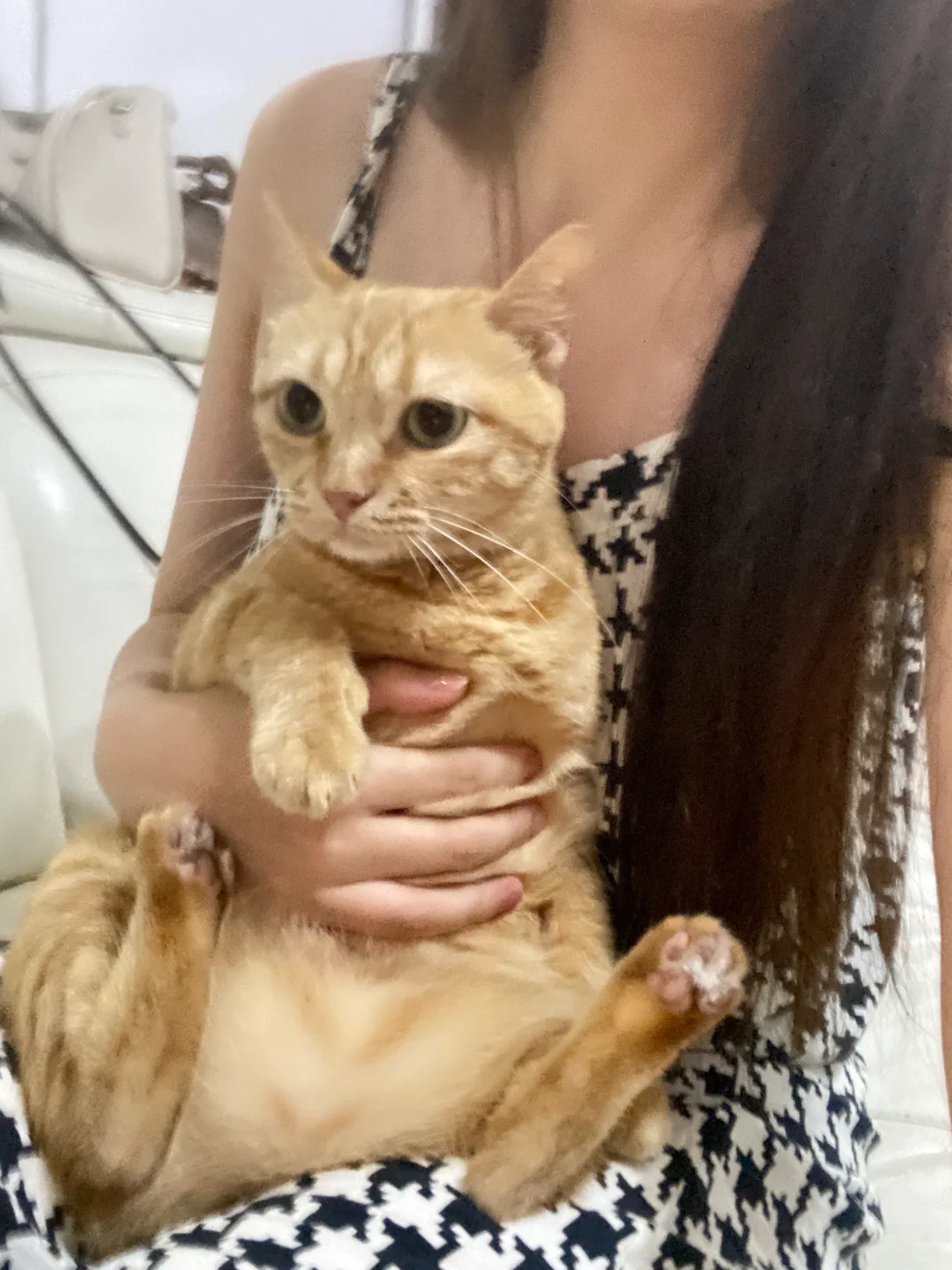 怎么办，买到了really cat…