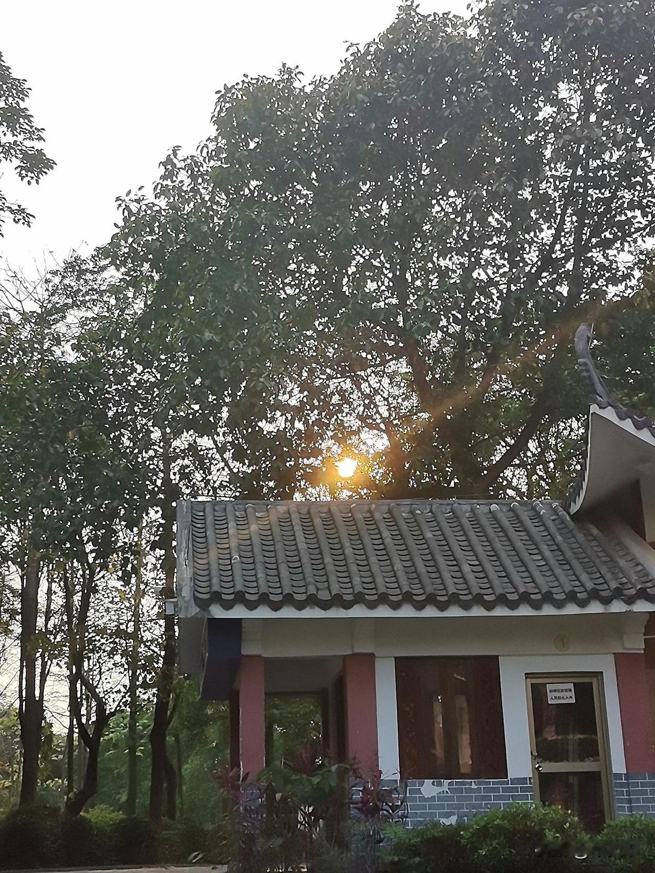 心烦，
不顺的时候，
一定要
出去走一走。
走走解决不了问题，
但可以解决情绪。