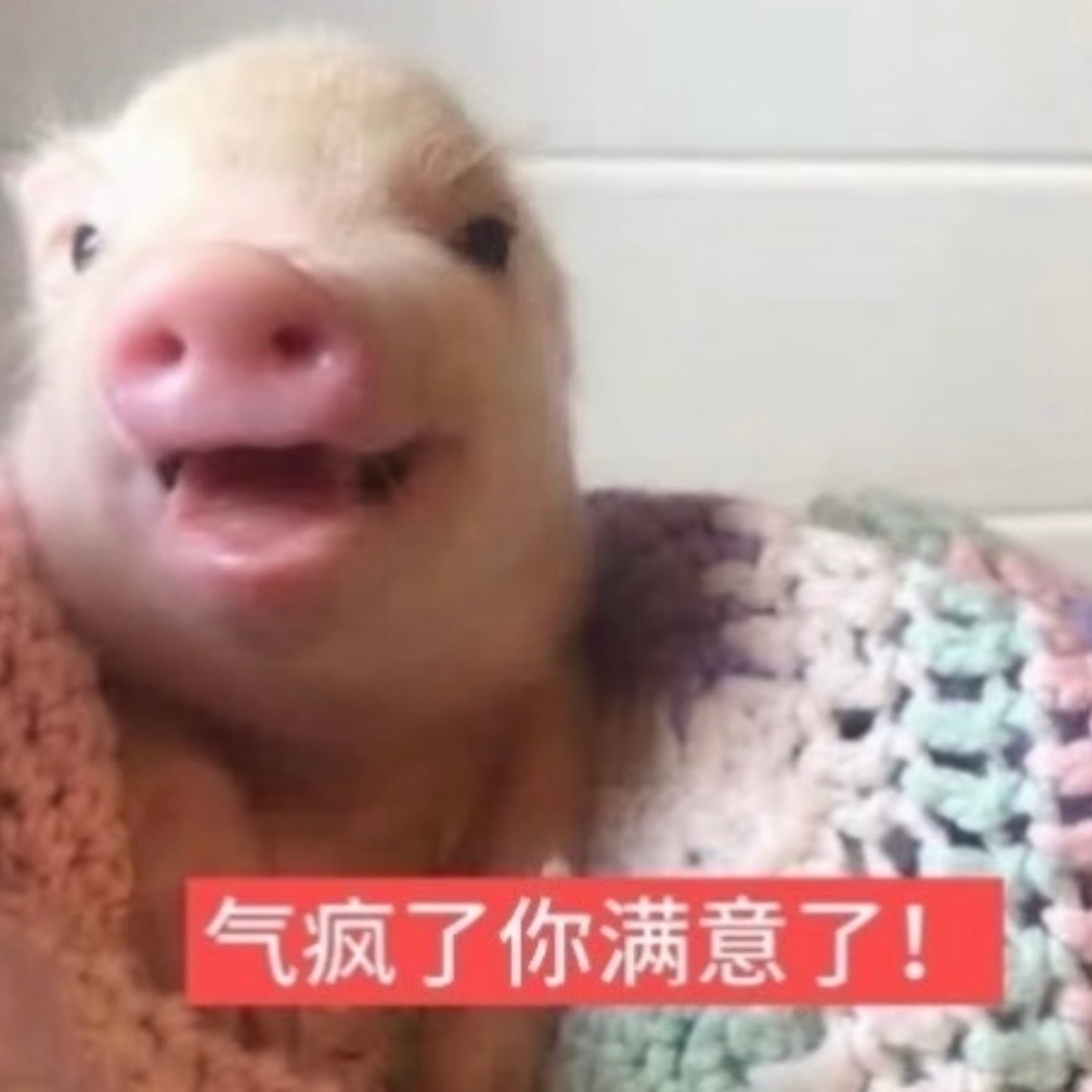 记仇：洗脸没找到发夹 让某人来帮我撩住刘海 结果他趁我洗卸妆膏时狂扇我屁股蛋子怕