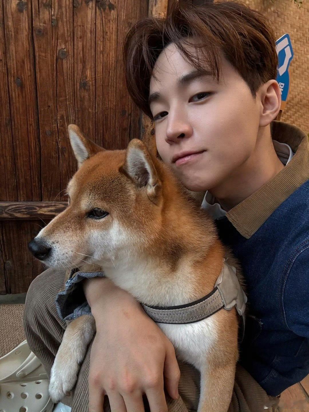 Henry和小H时隔两年又抱上了 从第一季的初遇到第八季的重逢，小H的尾巴摇出了